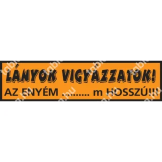 Lányok vigyázzatok! Az enyém sok méter hosszú. matrica / tábla