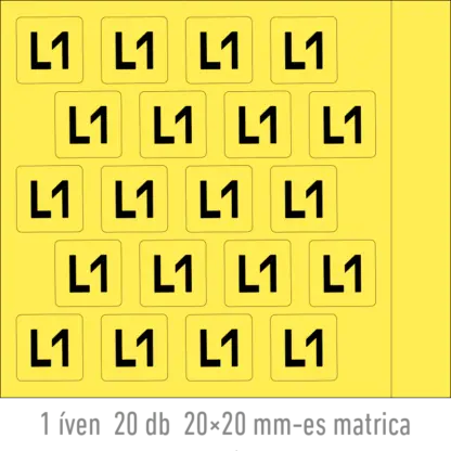L1 matrica