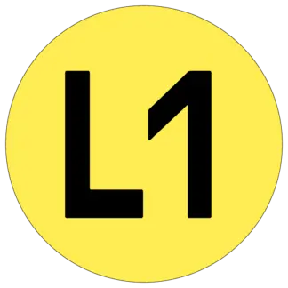 L1 matrica