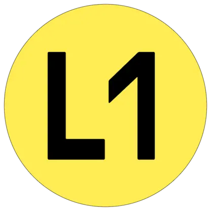 L1 matrica
