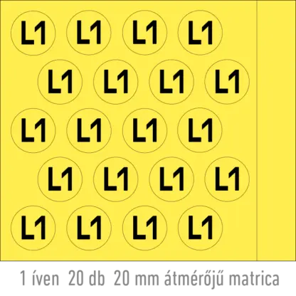 L1 matrica